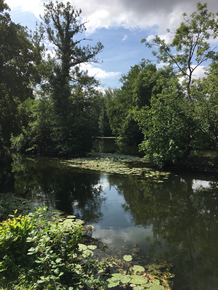 Parc de la résidence autonomie Bernardin de Saint Pierre à Corbeil-Essonnes